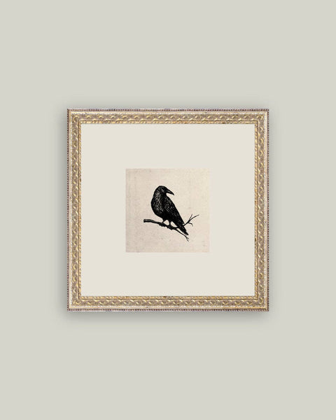 Crow Framed Antique Art