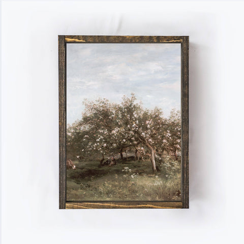 Vintage Print Framed | Apple Blossom Countryside Painting A29