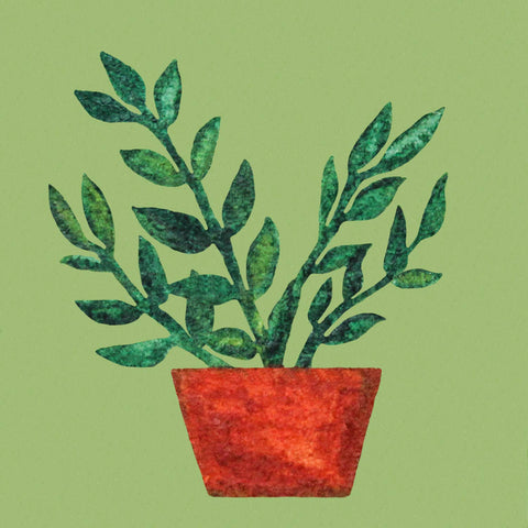 Mini 1" ZZ Plant Zeezee Houseplant Botany Tiny Art Print