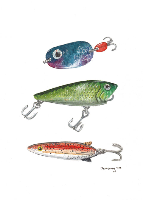 Lake Life: Lures