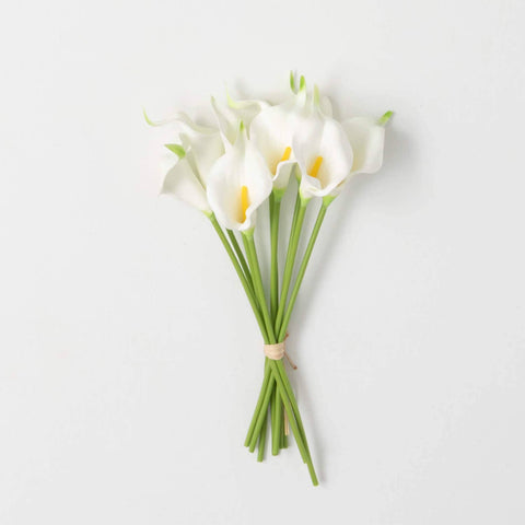 Calla Lily Crisp White Bunch of 10